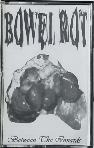 Between The Innards - Promo / Demo Tape '11
