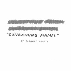 Sunbathing Animal
