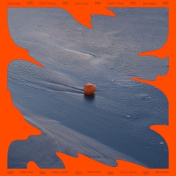 LP1