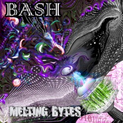 Melting Bytes