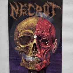 Stench of Decay