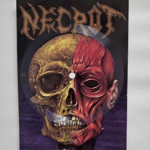 Stench of Decay