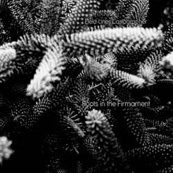 Roots in the Firmament