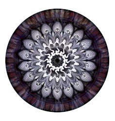 EP_Demos
