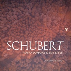 Piano Sonatas, D 894, D 625