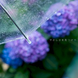 やさしさを見つけて