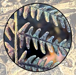 Moonlit Missive #124: 'The Memory of Suns'