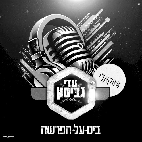 רואים ת'בית (פרשת פנחס) - ווקאלי