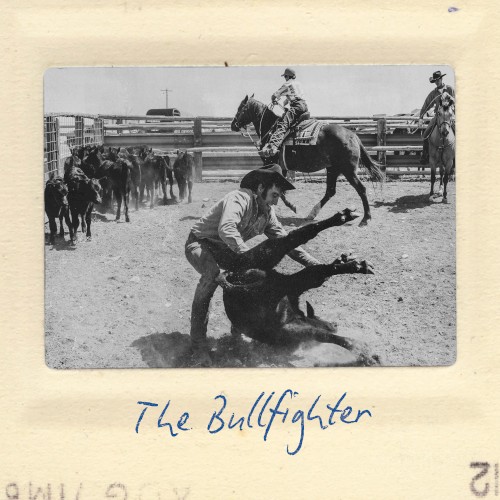 The Bullfighter