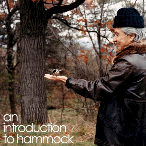 An Introduction to Hammock