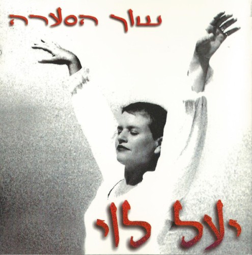 שוך הסערה