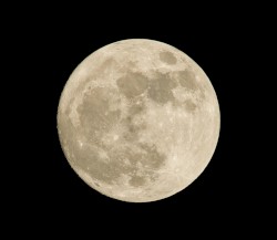Moon Beach