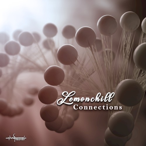 Connections