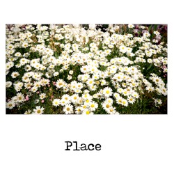 Place