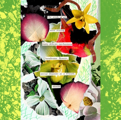 Bloom