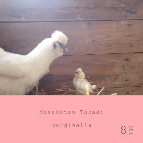 Marginalia #88