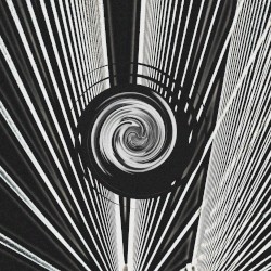 Vortex