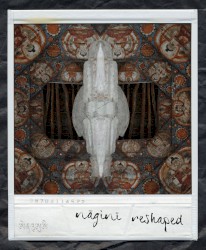 Nāginī Reshaped