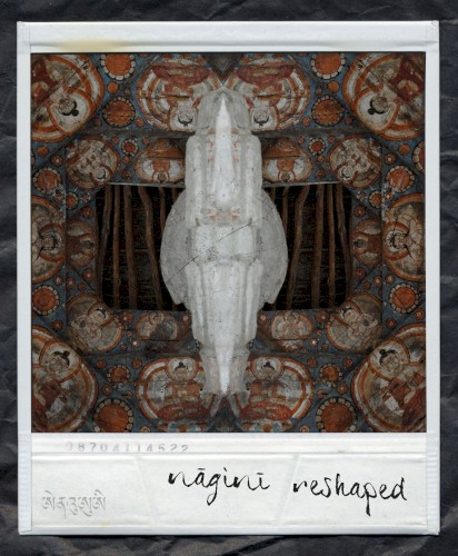Nāginī Reshaped
