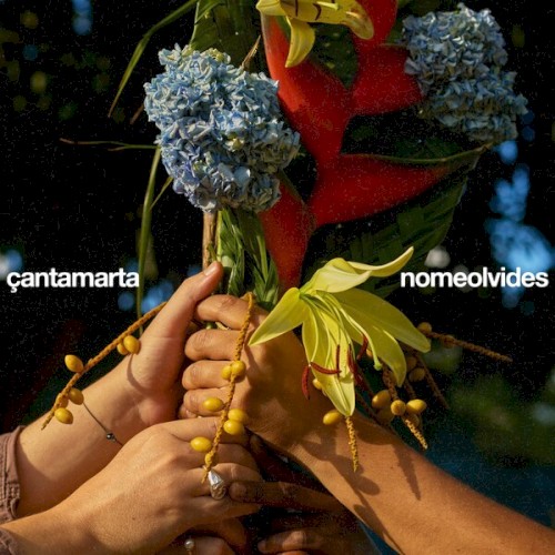 nomeolvides