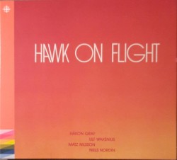 Hawk on Flight