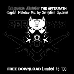 The Aftermath (Digital Molotov mix by Seraphim System)