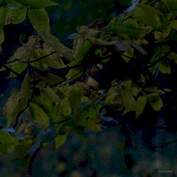 Stillness In Motion