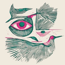 Before My Eyes