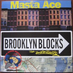Brooklyn Blocks BW Last Bref