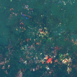Light Road Record Universe