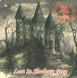 Lost in Shadows Grey