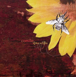 Of Bees and Flies