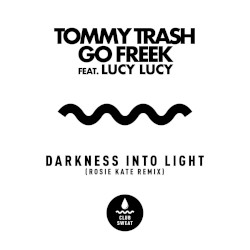 Darkness Into Light (Rosie Kate Remix)