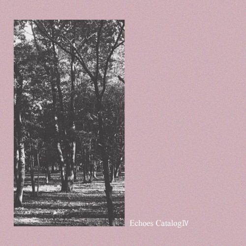 Echoes Catalog IV
