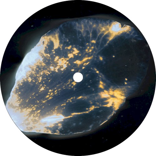 Entangle Ep