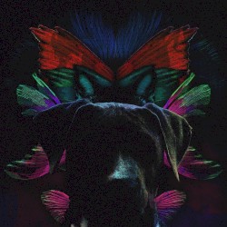 Pets