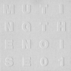 Muting the Noise 01