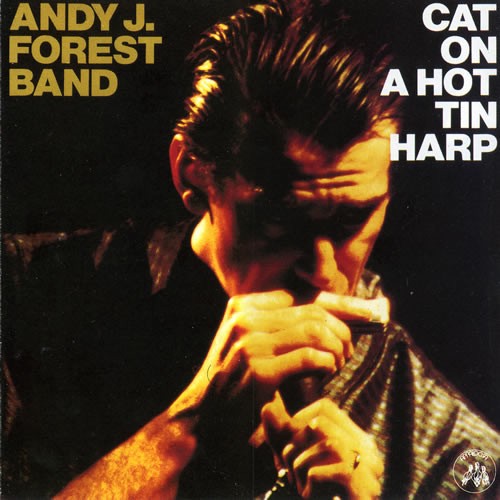 Cat On A Hot Tin Harp