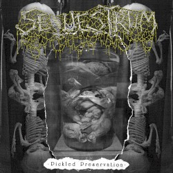 Pickled Preservation