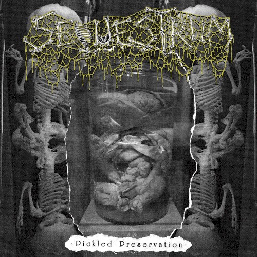 Pickled Preservation