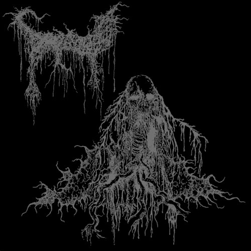Swallowed