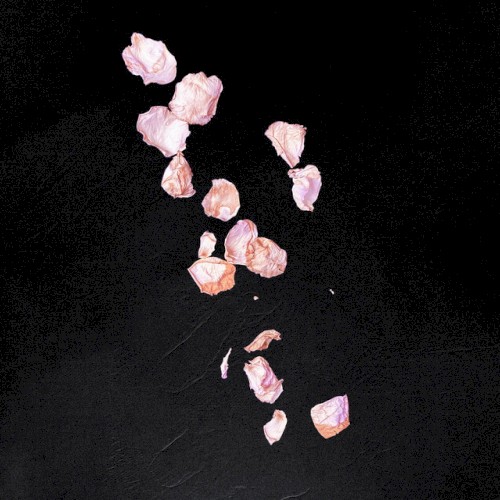 Stolen Youth