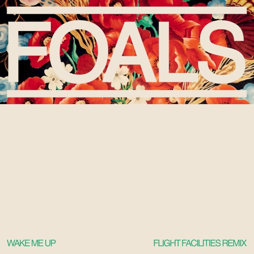 Wake Me Up (Flight Facilities remix)