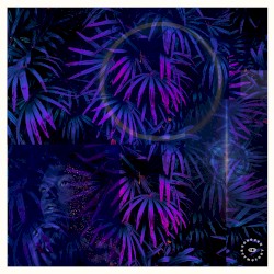 Glow in the Dark
