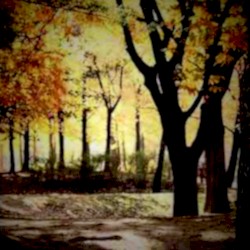 Between Worlds
