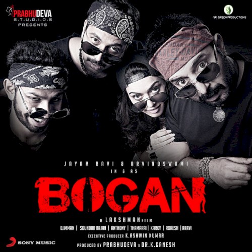 Bogan