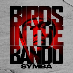 Birds in the Bando