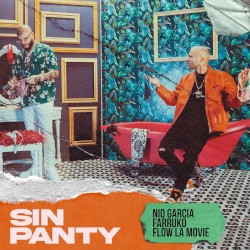 Sin panty