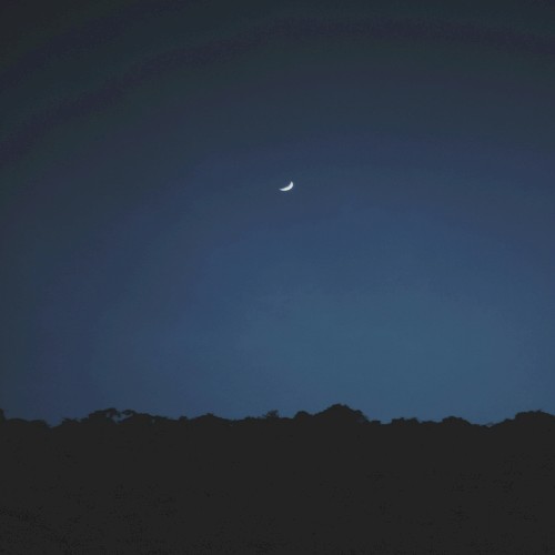 Summer Nights