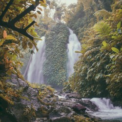 Welcome To A State Of Serenity